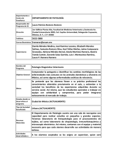 Formato renovacioÂ¦Ã¼n programa de servicio social.pdf