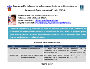 3_programa_particular_lic_en_enfermeria_2015a.pdf