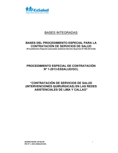 Bases integrada Procedimiento Especial de Contrataci&oacute;n N&deg;1-2013-EsSalud/GCL (26/03/201)