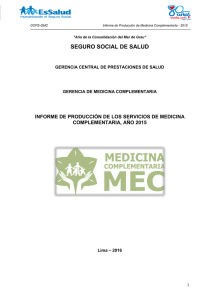 Informe de Producción Anual 2015 MEC