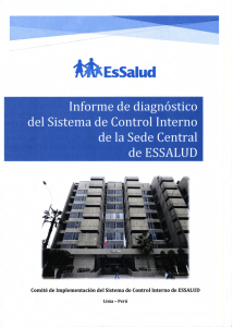 Informe de Diagnóstico del Sistema de Control Interno de la Sede Central de EsSalud.
