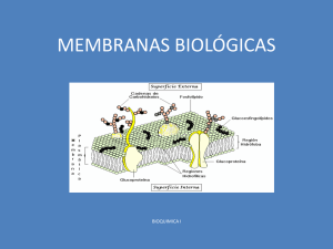 Membranas+Biológicas