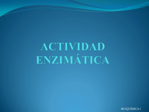 Actividad+enzimática
