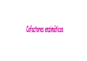 Cofactores (1)