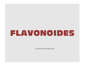 CLASE+Nº+08+FLAVONOIDES (1)