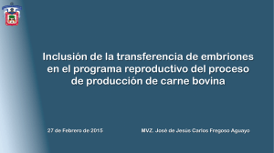 Inclusión de la transferencia de embriones dentro programa reproductivo en producción cárnica