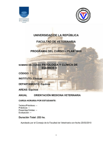 11.Patología y clínica de equinos II.pdf