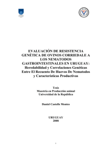 DANIEL CASTELLS Evaluación de resistencia genética de ovinos Corriedale a los nematodos gastrointestinales en Uruguay: heredabilidad y correlaciones genéticas entre el recuento de huevos de nematodos, características productivas y hematocrito.