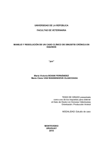 BOIANI FERNANDEZ, María Victoria; VAN WASSENHOVE OLASCOAGA, Marie Claire (2015). Manejo y resolución de un caso clínico de sinusitis crónica en equinos