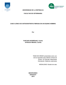 FURTADO RODRIGUEZ, Camila; STRAUCH BRANCA, Camila  (2015). Caso clínico de osteodistrofia fibrosa en un equino hembra