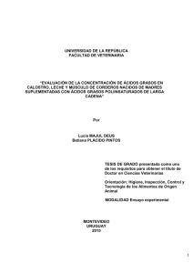 Evaluación de la concentración de ácidos grasos en calostro, leche y músculo de corderos nacidos de madres suplementadas con ácidos grasos poliinsaturados de larga cadena