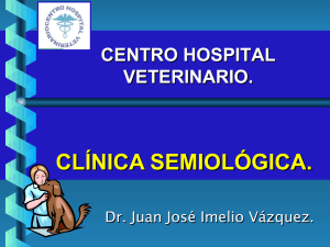 CLÍNICA SEMIOLÓGICA. CENTRO HOSPITAL VETERINARIO. Dr. Juan José Imelio Vázquez.