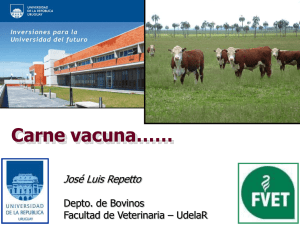 Uruguay como productor de carne. Inserción del pais en el mecado internacional