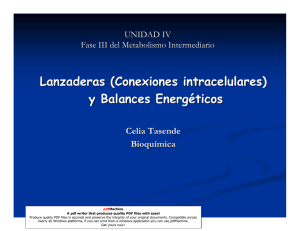 Lanzaderas y Balances