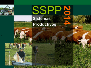 SSPP 2014 Sistemas Productivos