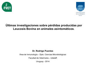 "Últimas investigaciones sobre pérdidas producidas por Leucosis Bovina en animales asintomáticos".