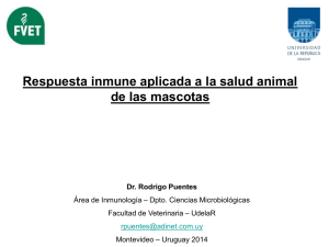 "Respuesta inmune aplicada a la salud animal de las mascotas".