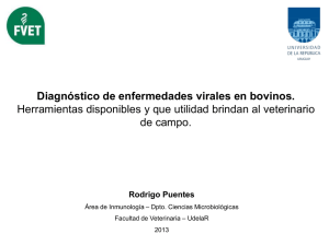 "Diagnóstico de enfermedades virales en bovinos. Herramientas disponibles y qué utilidad brindan al veterinario de campo".
