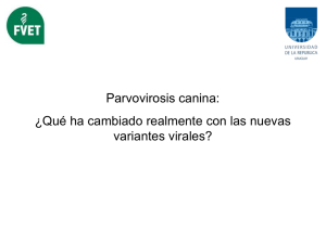 "Parvovirosis canina. ¿Qué ha cambiado realmente con las nuevas variantes virales?".