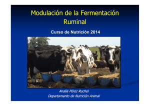Modulación de la fermentación ruminal (14/8)