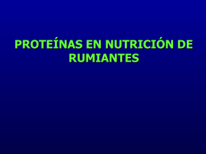 Recordatorio de Proteínas en rumiantes del curso de Nutrición 2013