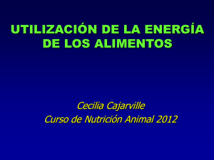 Recordatorio de Energía del curso de Nutrición 2012