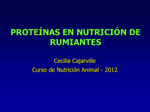 Proteínas en Rumiantes_ Curso de Nutrición 2012