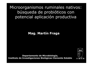Microbiología Ruminal - Probiticos (29_5)