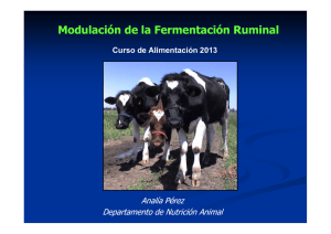 Moduladores de la fermentación ruminal I (5/6)