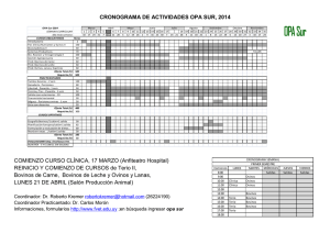 CRONOGRAMA DE ACTIVIDADES 2014