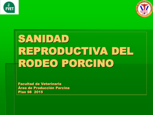 SANIDAD REPRODUCTIVA DEL RODEO PORCINO