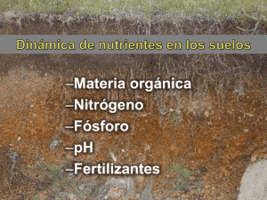 Materia orgánica Nitrógeno Fósforo pH