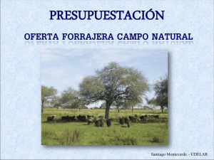 OFERTA FORRAJERA CAMPO NATURAL 1 Santiago Monteverde – UDELAR