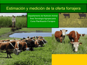 Estimación y medición de la oferta forrajera Departamento de Nutrición Animal