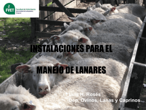 Instalaciones para el manejo de ovinos - L. Rosés