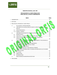 MUNICIPIO DE RAFAEL LUCIO, VER.  FISCALIZACIÓN DE LA CUENTA PÚBLICA 2010
