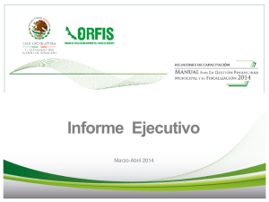 Informe Ejecutivo Reuniones de Capacitación para el Manual para la Gestión Financiera Municipal y su Fiscalización 2014