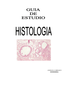 apuntes (Guía de estudio)_histologia