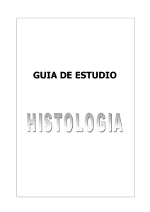 guia de estudio - histologia