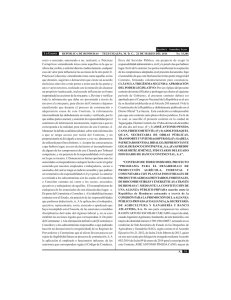 Decreto Legislativo 369-2013 BIOMASA
