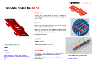 Hoja de producto_soporte brida rejiband.pdf