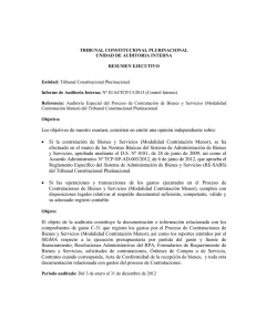 Informe de Auditoría Interna: N° IUAI/TCP/13/2013 (control interno)