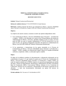 Informe de Auditoría Interna: Nº IUAI/TCP/08/2013 (control Interno)