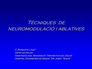 Tècniques de neuromodulació i tècniques ablatives