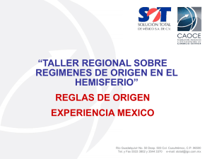 Experiências na aplicação dos Regimes de Origem negociados com os Estados Unidos - Experiências do México - Martha Berzosa