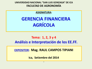 GerenciaFinancieraAvanzada1234 2014