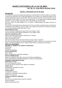 Manejo Postcosecha de Uva de Mesa: Gu&iacute;a Completa