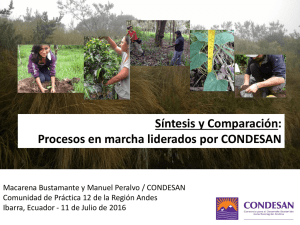 Síntesis y Comparación: Procesos en marcha liderados por CONDESAN