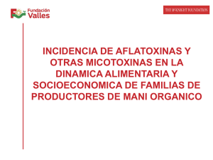 INCIDENCIA DE AFLATOXINAS Y OTRAS MICOTOXINAS EN LA DINAMICA ALIMENTARIA Y