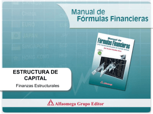 Finanzas Estructurales (presentación Power Point)